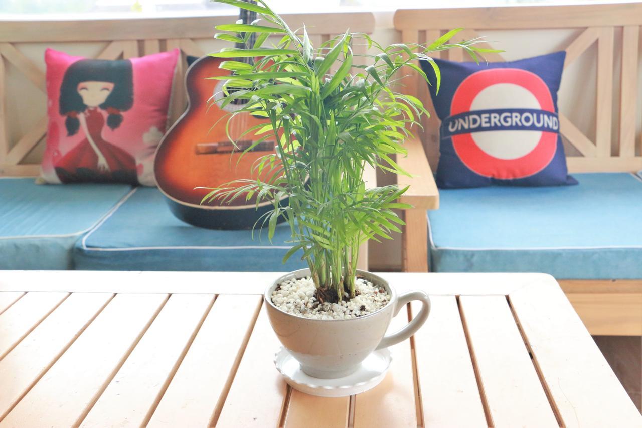 Dalat Eco Home Dış mekan fotoğraf